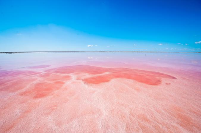 The Pink Lake