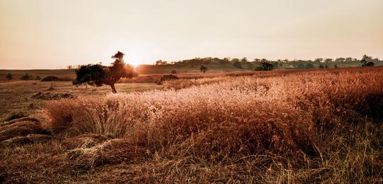 Trekking In Chikhaldara, Maharashtra  Image