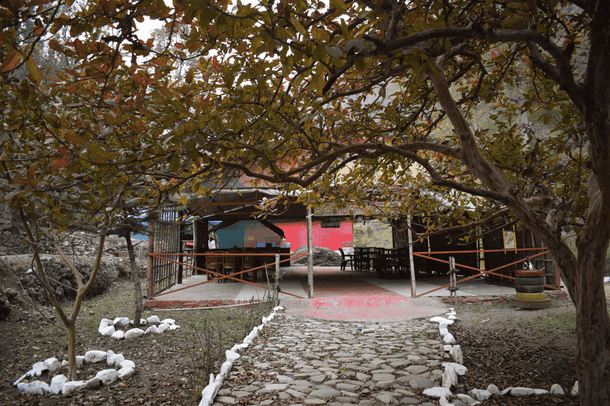 Z918ub1yjnjrkuya197sfsic2kpw lansdowne%20picnic 13