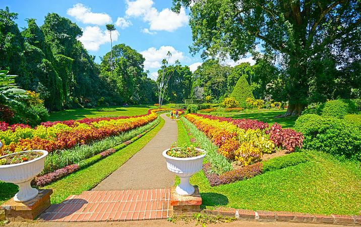 Perandeniya Botanical Gardens