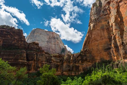 Zion National Park Tour Las Vegas Image