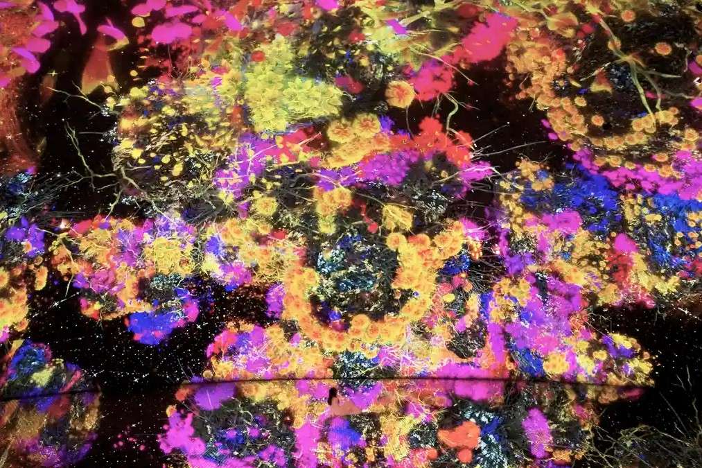 teamLab Phenomena Tickets Image