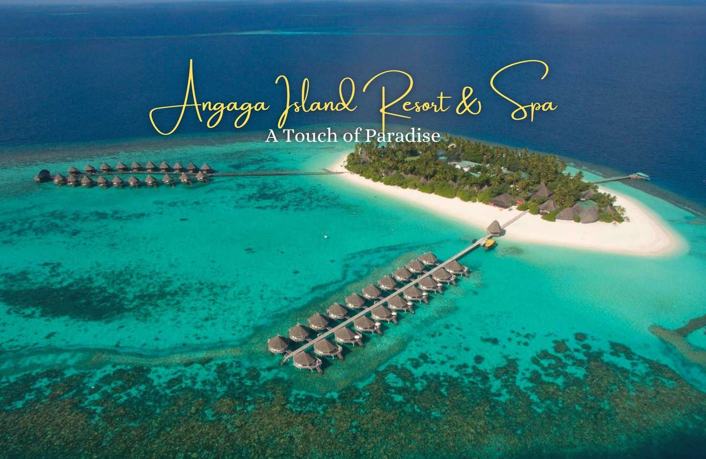 Zcz151f9pw2ecc0owkgmoy86x8vj add%20a%20heading%20(12)