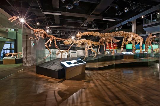 Melbourne Museum Admission Ticket Image