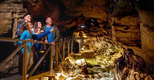 Te Anau Glowworm Caves Image