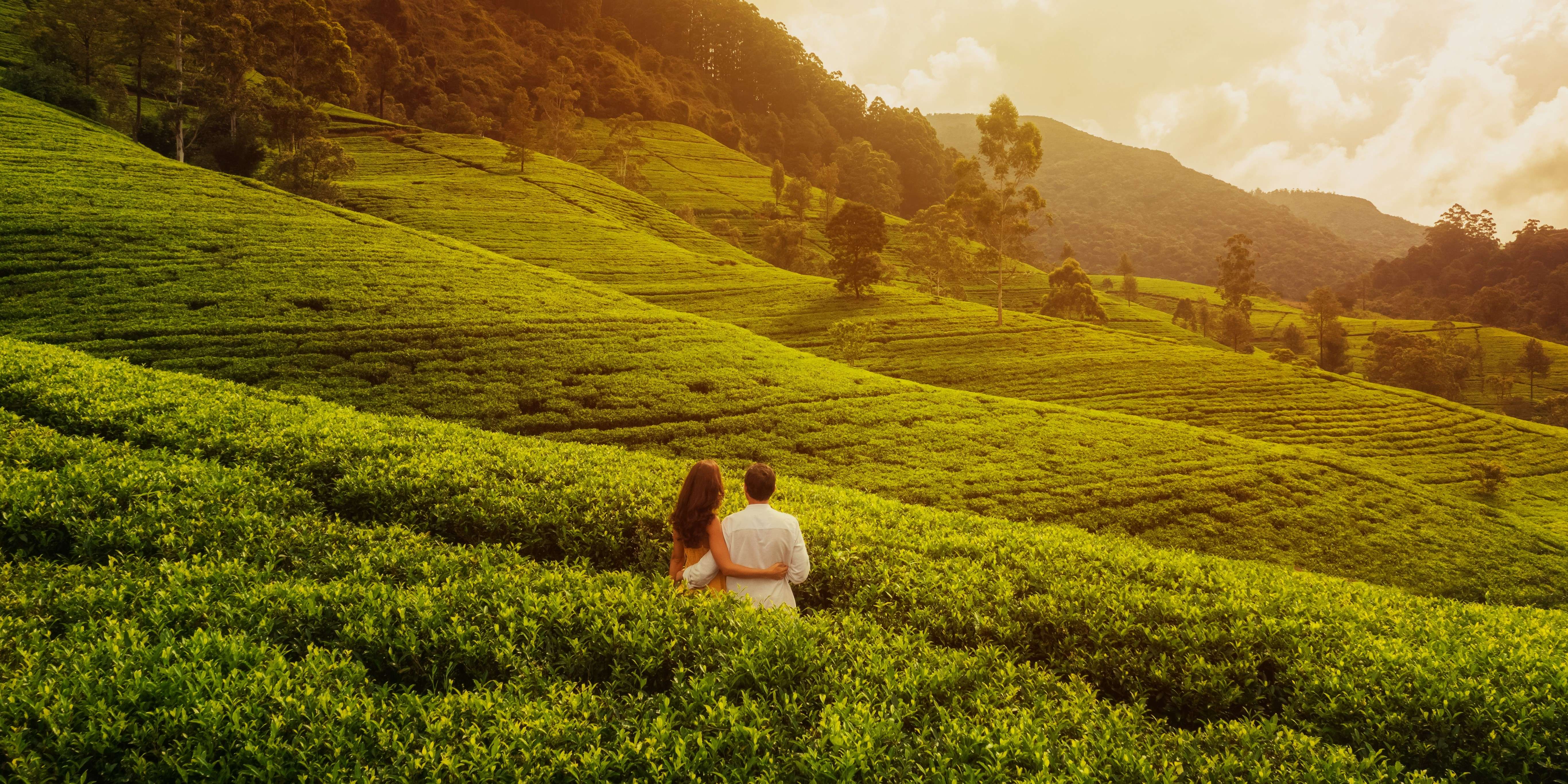 Couple enjoying the view of  Tea Plantation, Ooty
