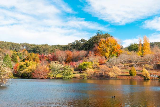 Mt. Lofty Botanic Garden 