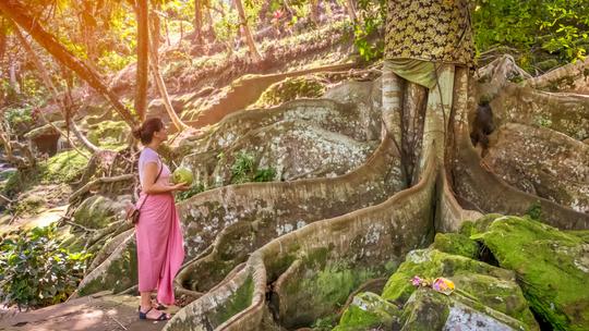 Goa Gajah Tour Image