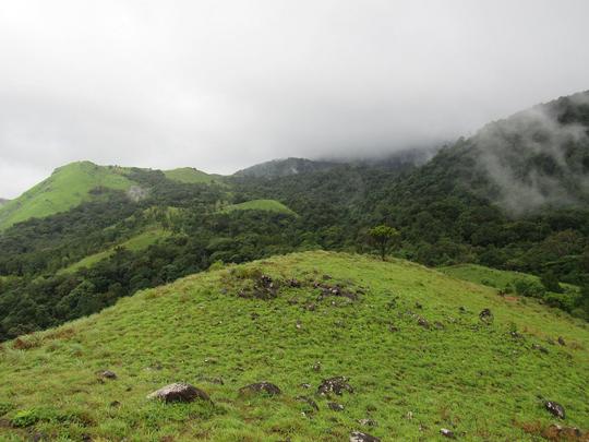 Pushpagiri Trek Of Coorg Image