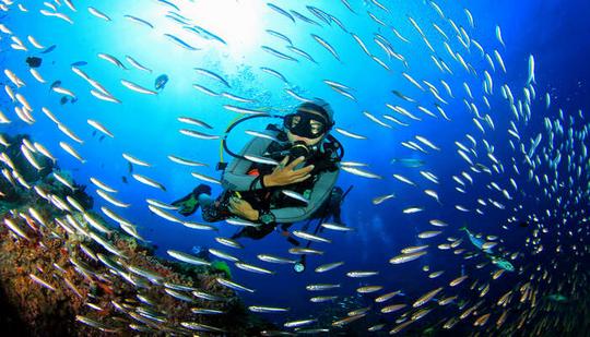 Scuba Diving In Alibaug Image