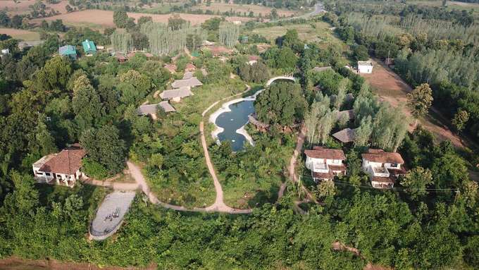 Tendu Leaf Jungle Resort Panna - Luxury Staycation Deal