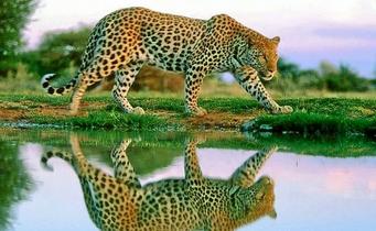 Zlithgwfah2jk9o72xc1gdsc30n2 2 (copy).jpg