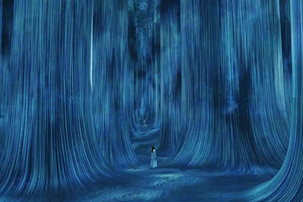 teamLab Phenomena Tickets Image