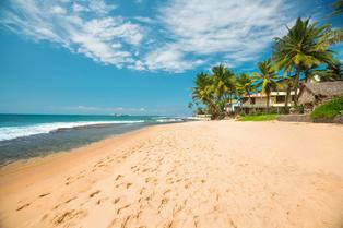 Zmnji2g1z6x5zdk28nqxc3tk03as shareiq 1648 1491977774.749214