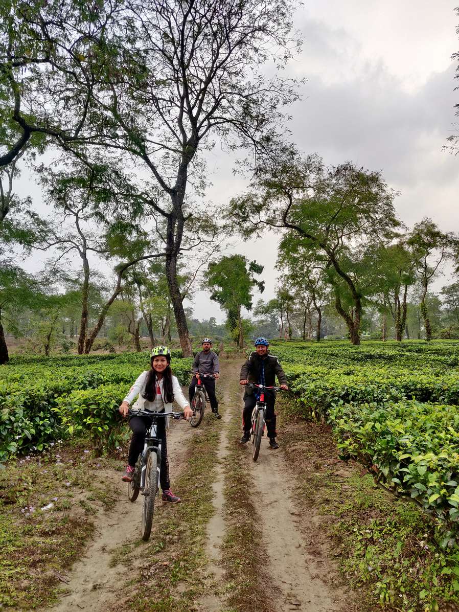 Kaziranga Full Day Cycling Tour Image