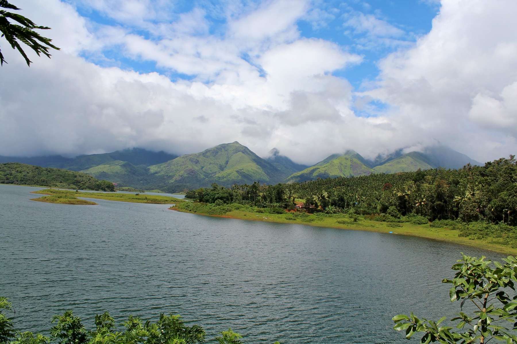 Silverwoods Resort Wayanad Image