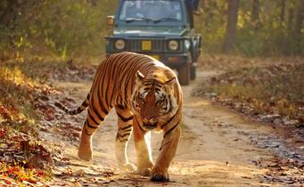 Zox109ljnm61p3ix8ordrbmt2fd8 1553502829 umred karhandla wildlife sanctuary