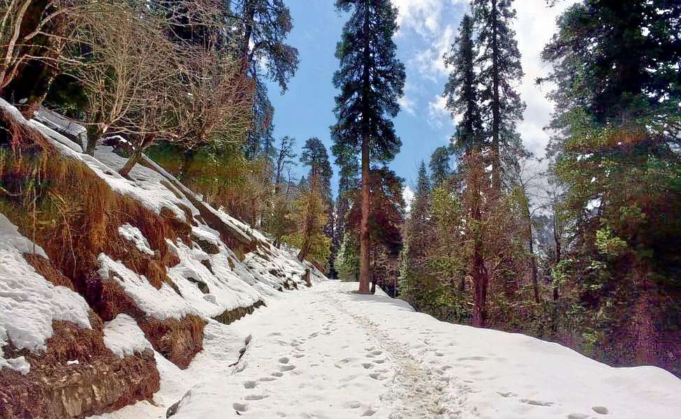 Trek To Chehni Kothi Image