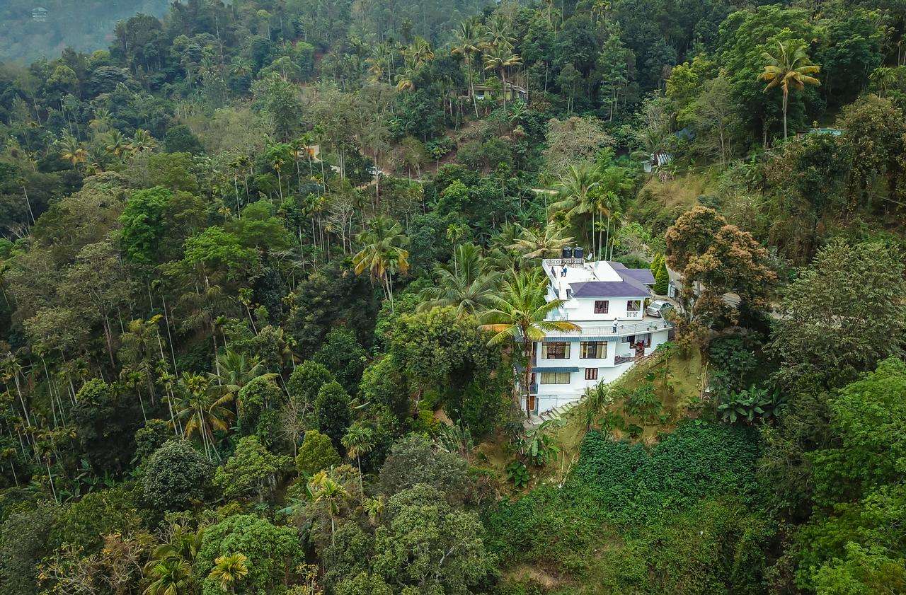 Aerial view of the Homestay