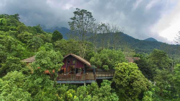 Nexstay Vythiri Mist Resort, Wayanad | Luxury Staycation Deal