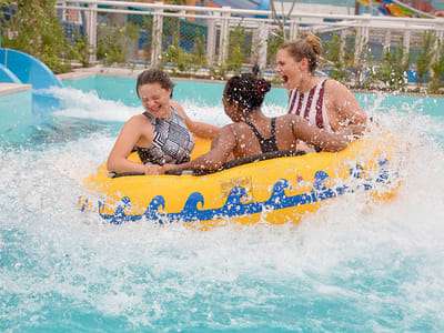 Have fun with your friends