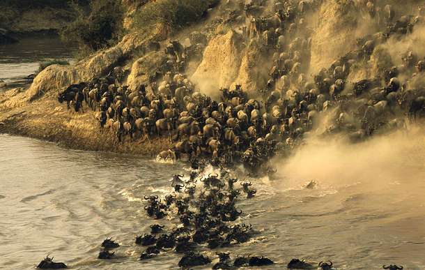 8 Days Ultimate Tanzania Safari | Tarangire, Serengeti & Lake Manyara