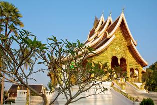 Zse2hnnguqtk6ovmonp28fjghl3f 1462530180 6678627853 a3e9557a7d o