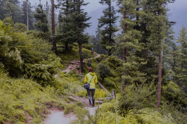 Zt714a9sdeot86p2sguvrsvyddne dyf787vml29tmqjxj2ngdy3ytfsz shutterstock 13106038461