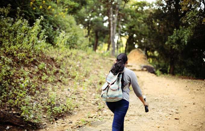 Enjoy 4 hour trekking experience to Rangasamy Peak in Tamil Nadu