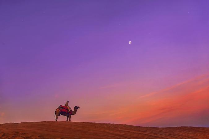 Zvd82jnrnzndkzwcujsmp9lc9wyl shutterstock 693914233