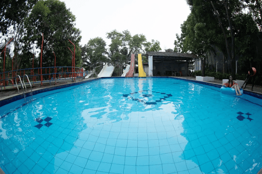 Day Out At Paradise Funland Image