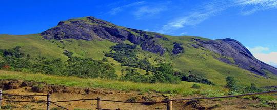 Eravikulam National Park Safari Image