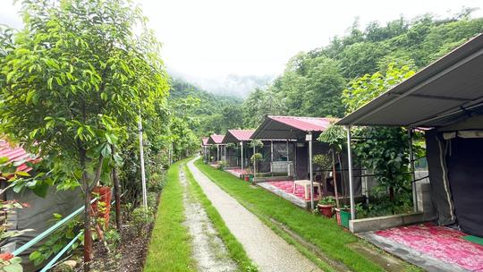 River Side Camping in Rishikesh with Rafting Image