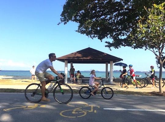 East Coast Park Cycling Image