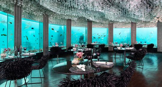 Niyama Maldives Image